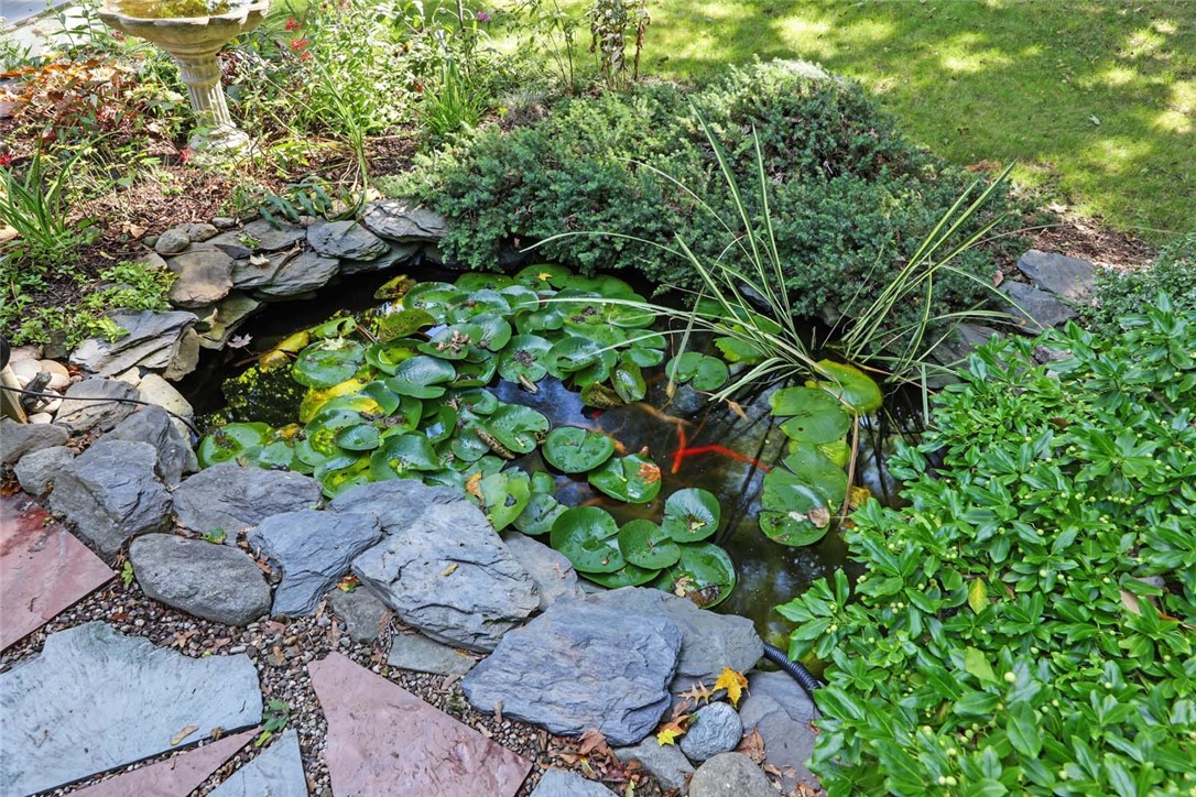 10 Milton Road Barrington, RI 02806 - Photo 47 of 50 Fish Pond