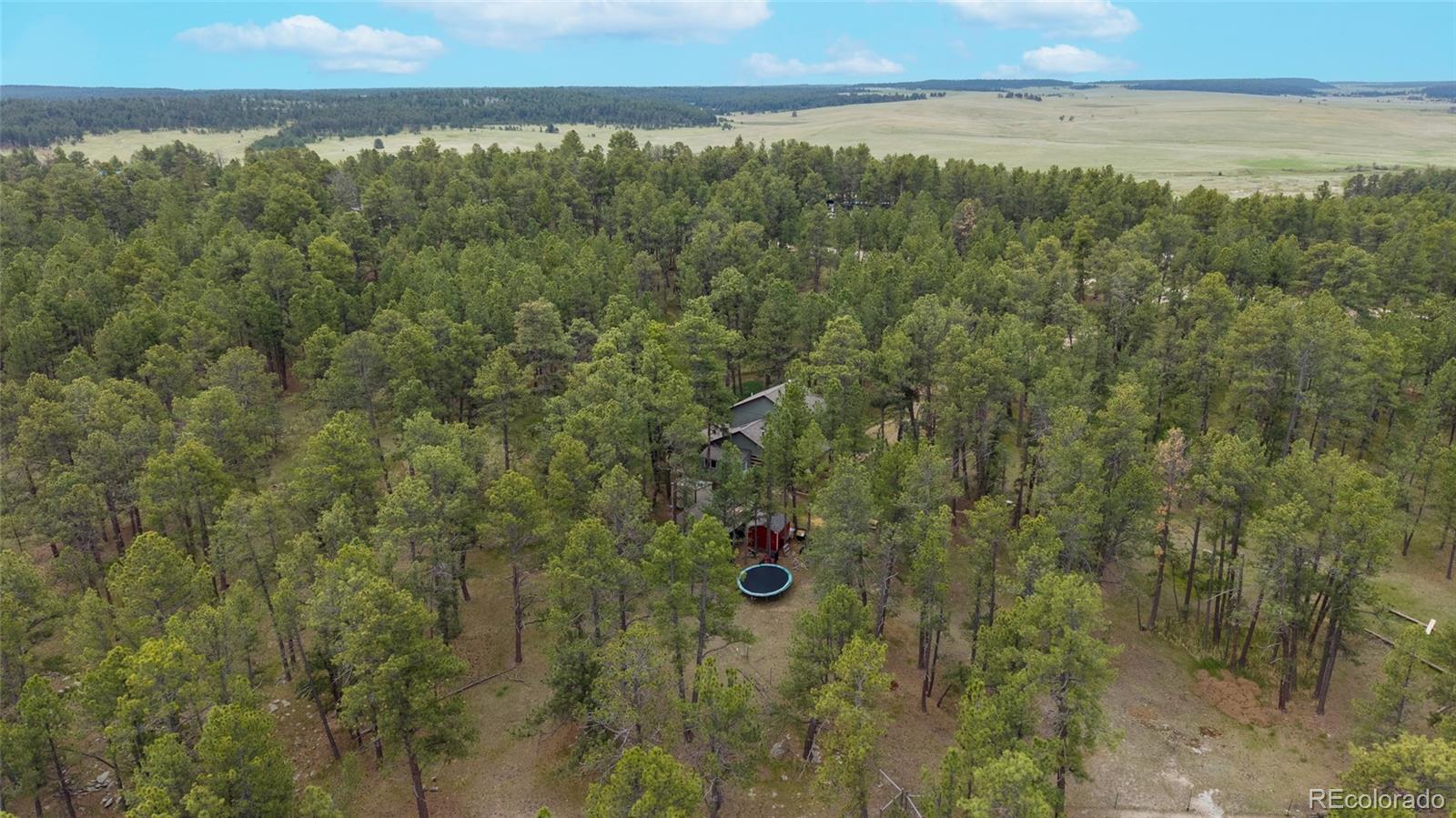 4719 Beaver-Ridge Elbert, CO 80106 - Photo 41 of 48