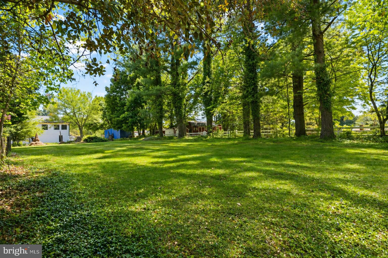 14607 Peach Orchard Road Silver Spring, MD 20905 - Photo 6 of 54