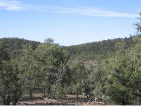 207 Arizona Road Ash Fork, AZ 86320 - Photo 5 of 9 Additional Photo
