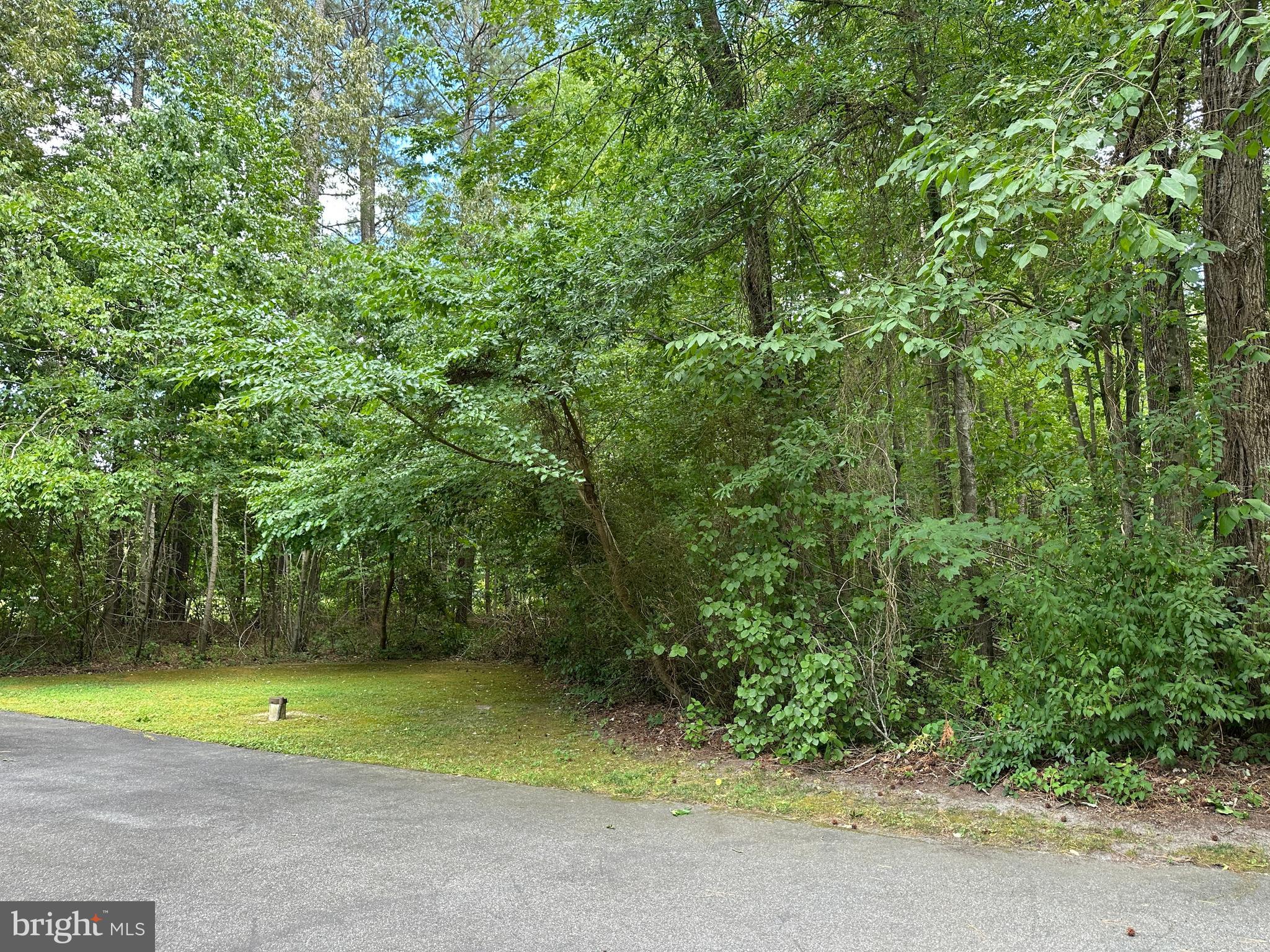 28440 Bloomery Road Federalsburg, MD 21632 - Photo 69 of 94