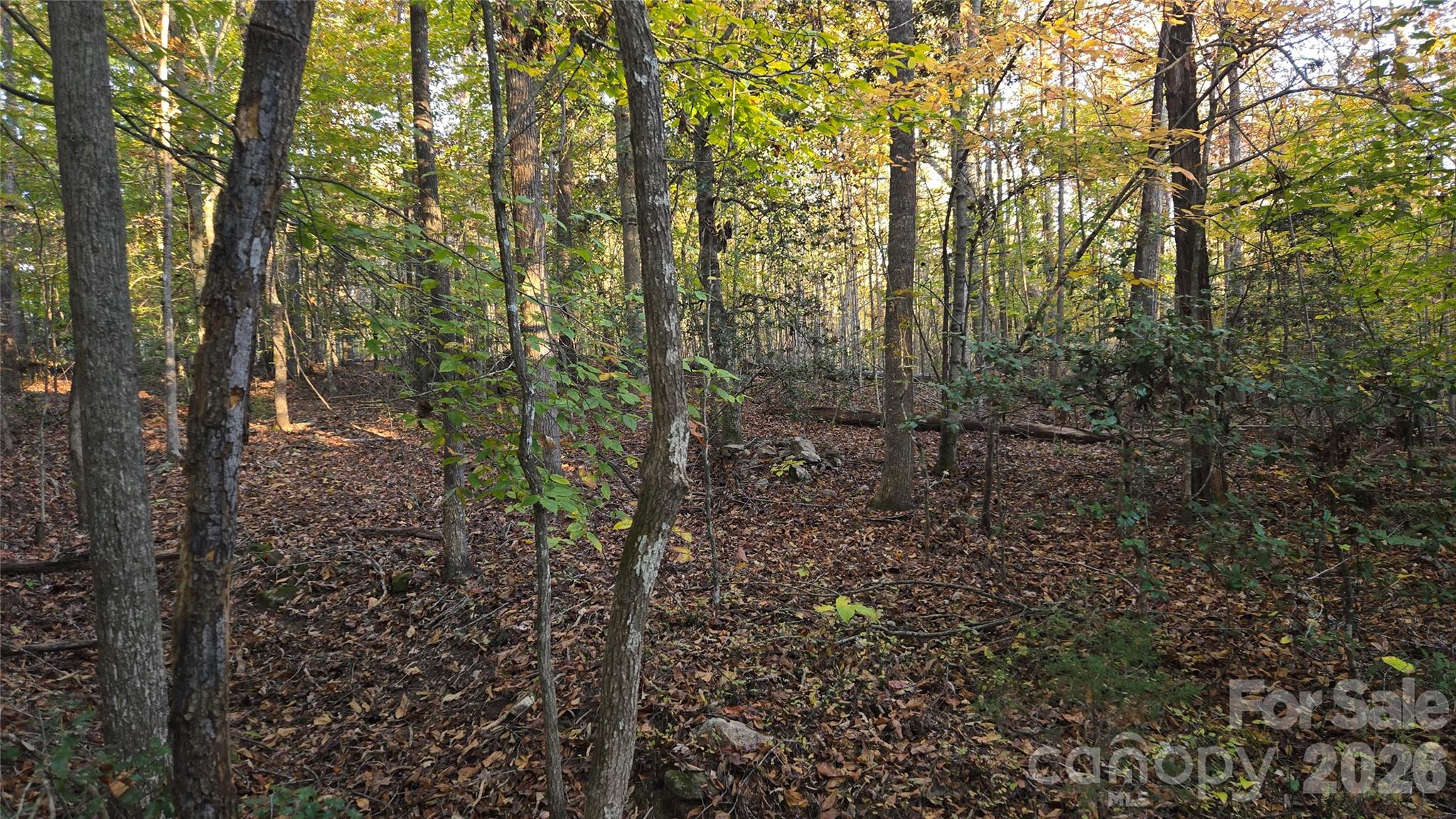 663 Landrum Road Columbus, NC 28722 - Photo 39 of 42 Gallery Image 39