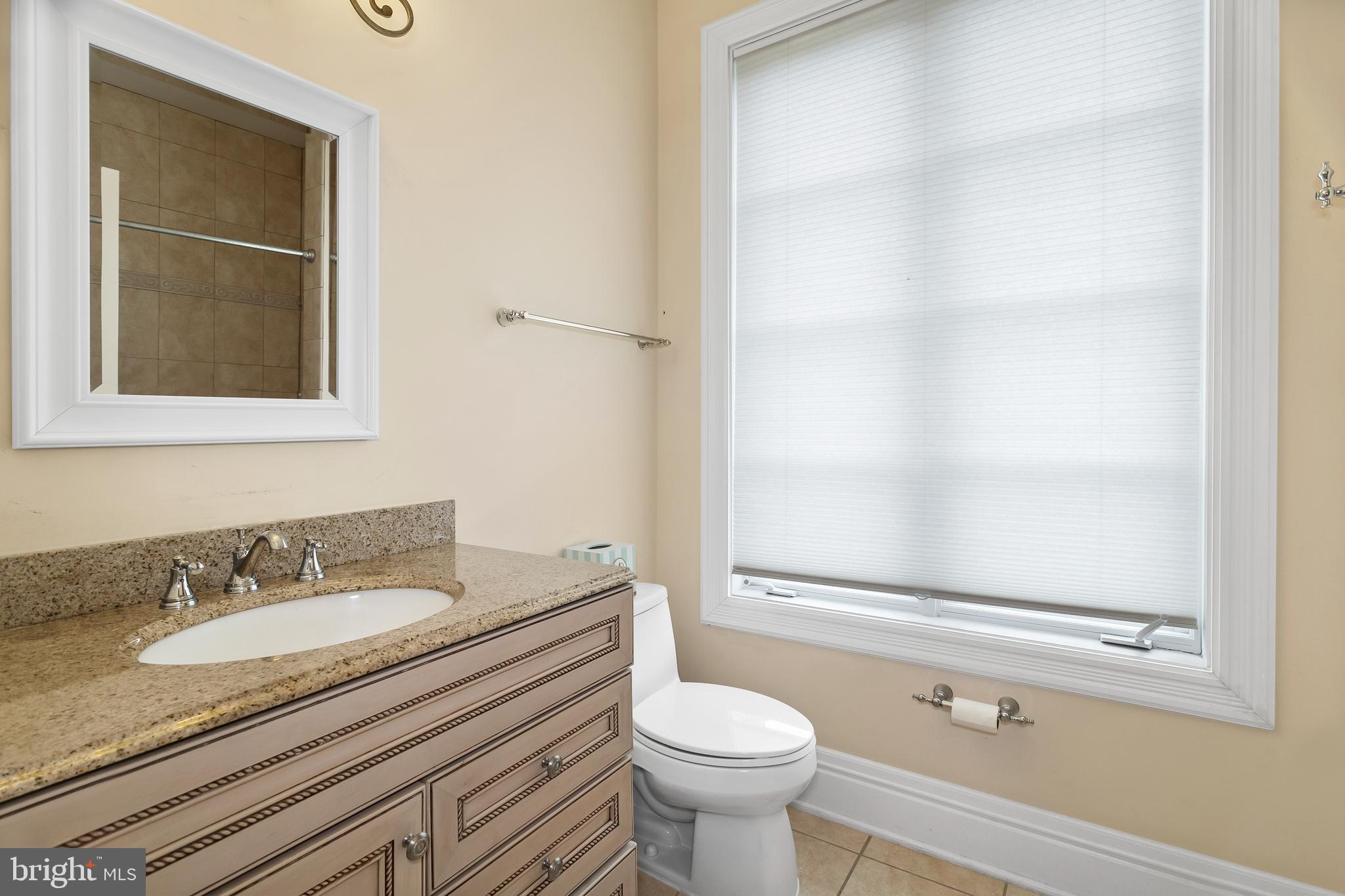 11642 Blue Ridge Lane Great Falls, VA 22066 - Photo 46 of 103