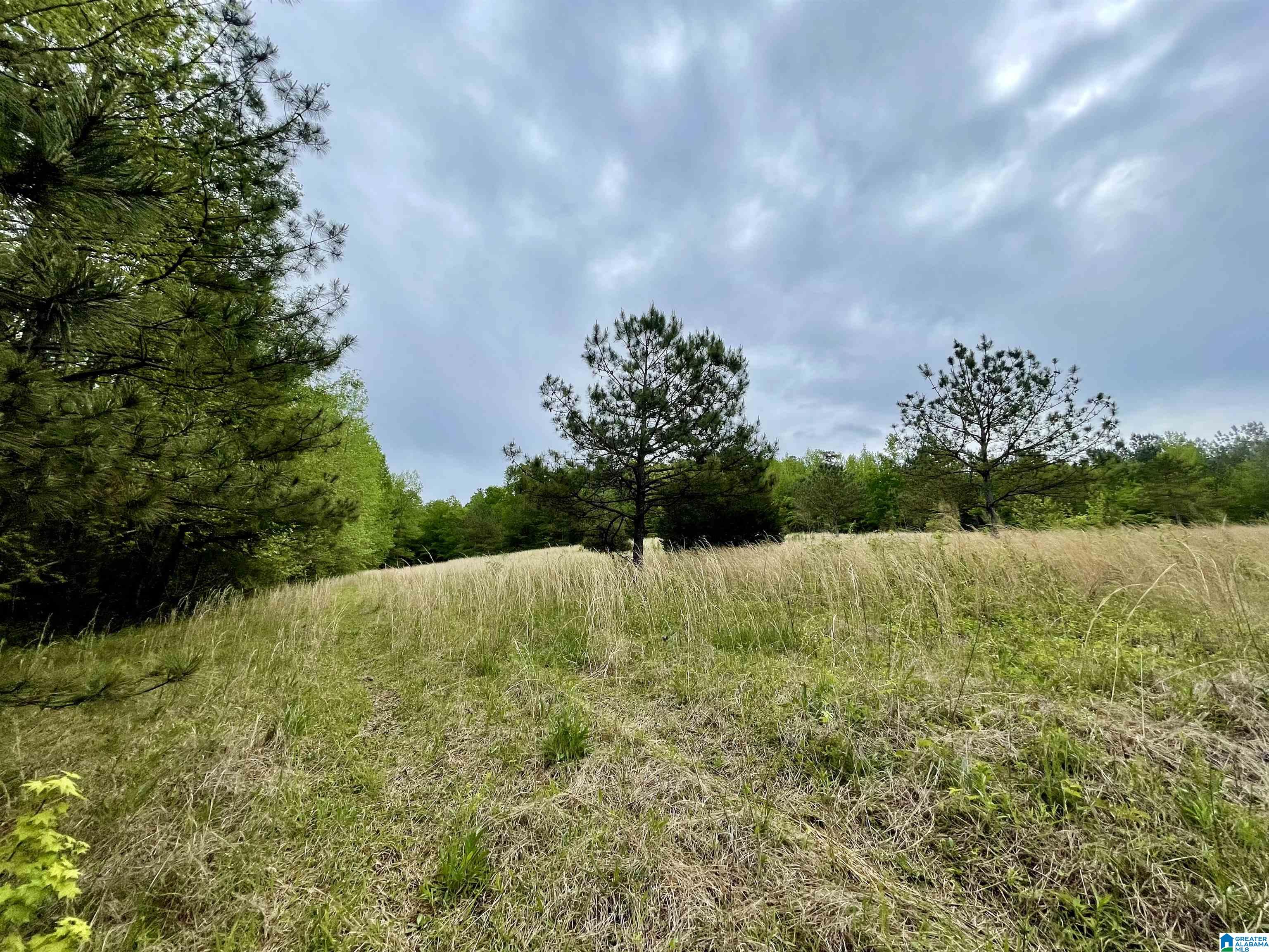 3927 Brazel Mill Road Altoona, AL 35952 - Photo 3 of 21
