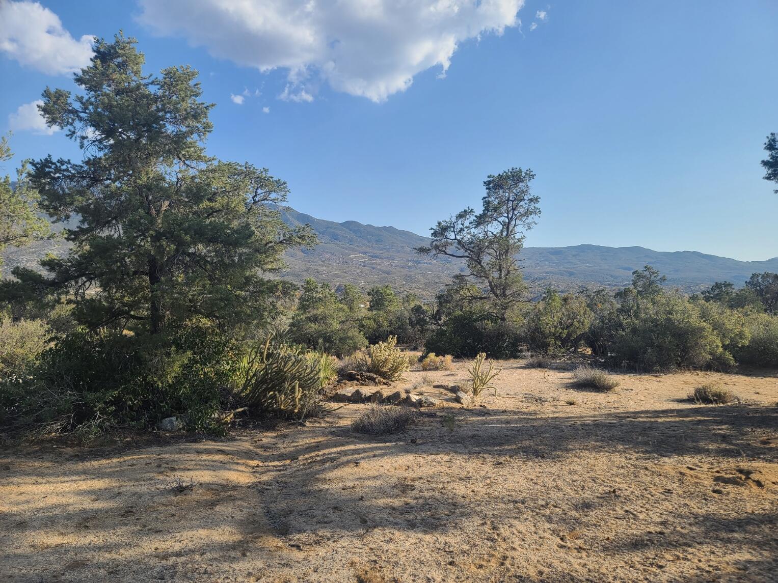 68420 Riesling Way Mountain Center, CA 92561 - Photo 17 of 37 20220610_175858