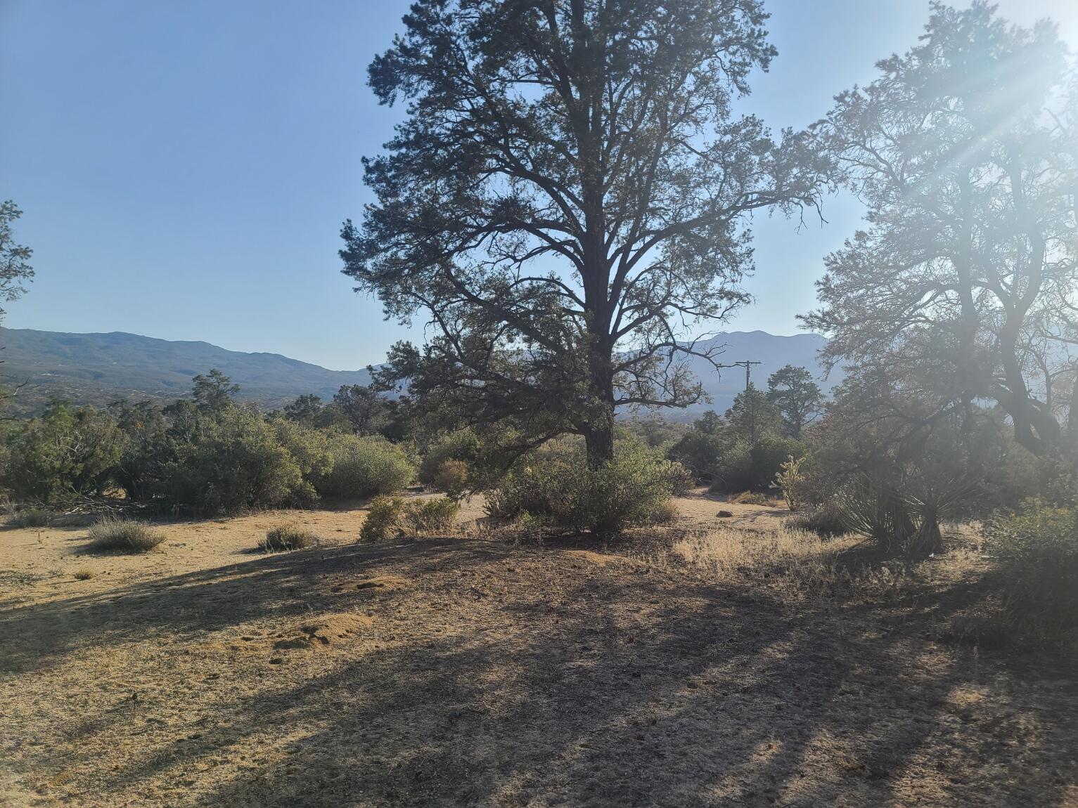 68420 Riesling Way Mountain Center, CA 92561 - Photo 18 of 37 20220610_175901