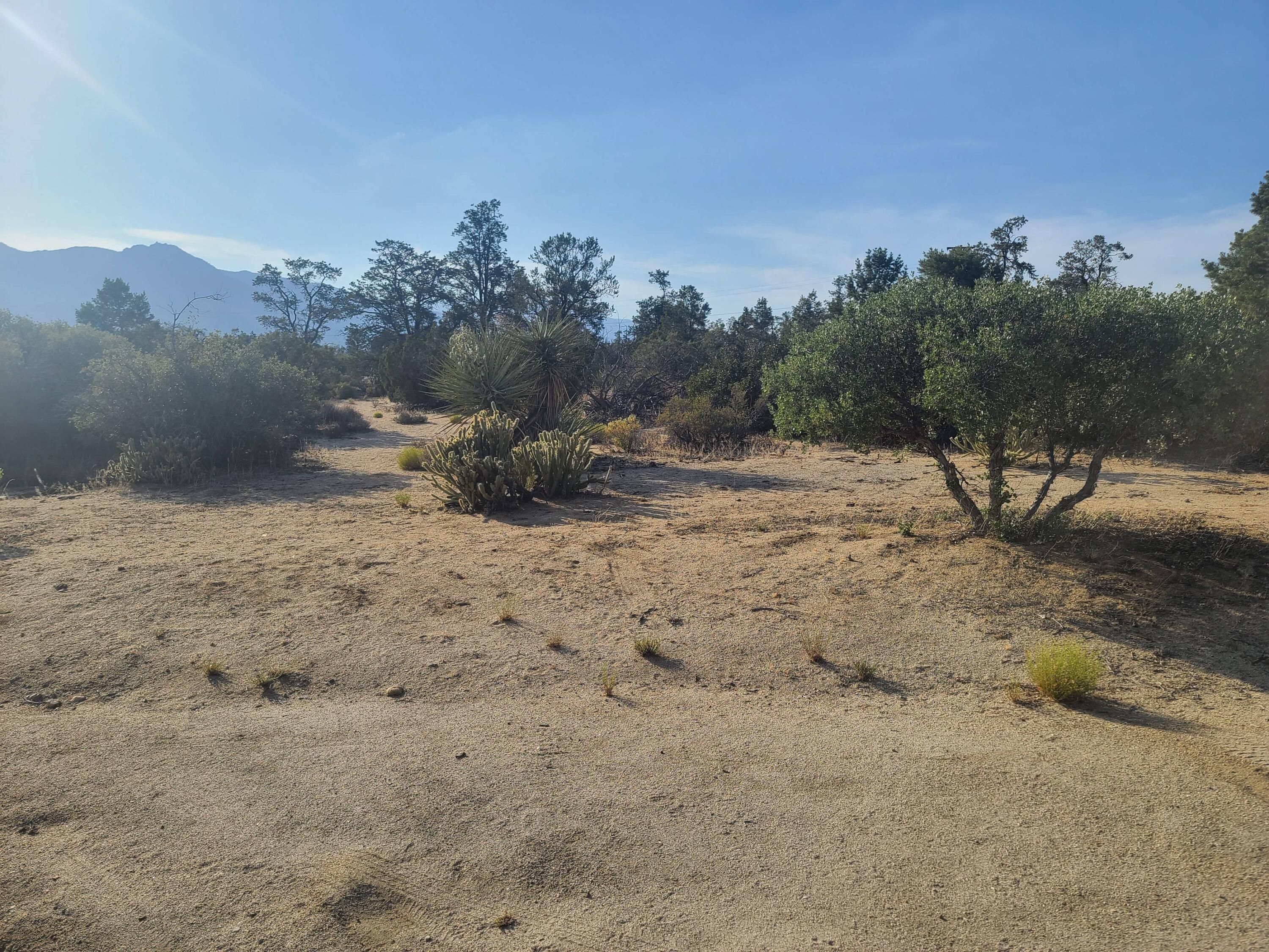 68420 Riesling Way Mountain Center, CA 92561 - Photo 3 of 37 20220610_175544