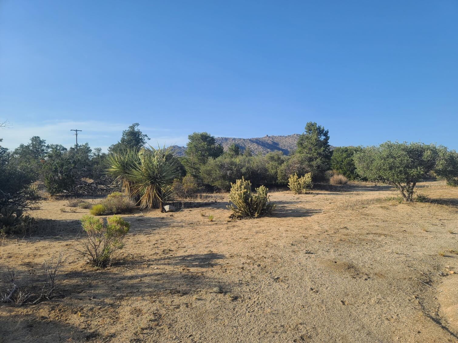 68420 Riesling Way Mountain Center, CA 92561 - Photo 37 of 37 20220610_180611