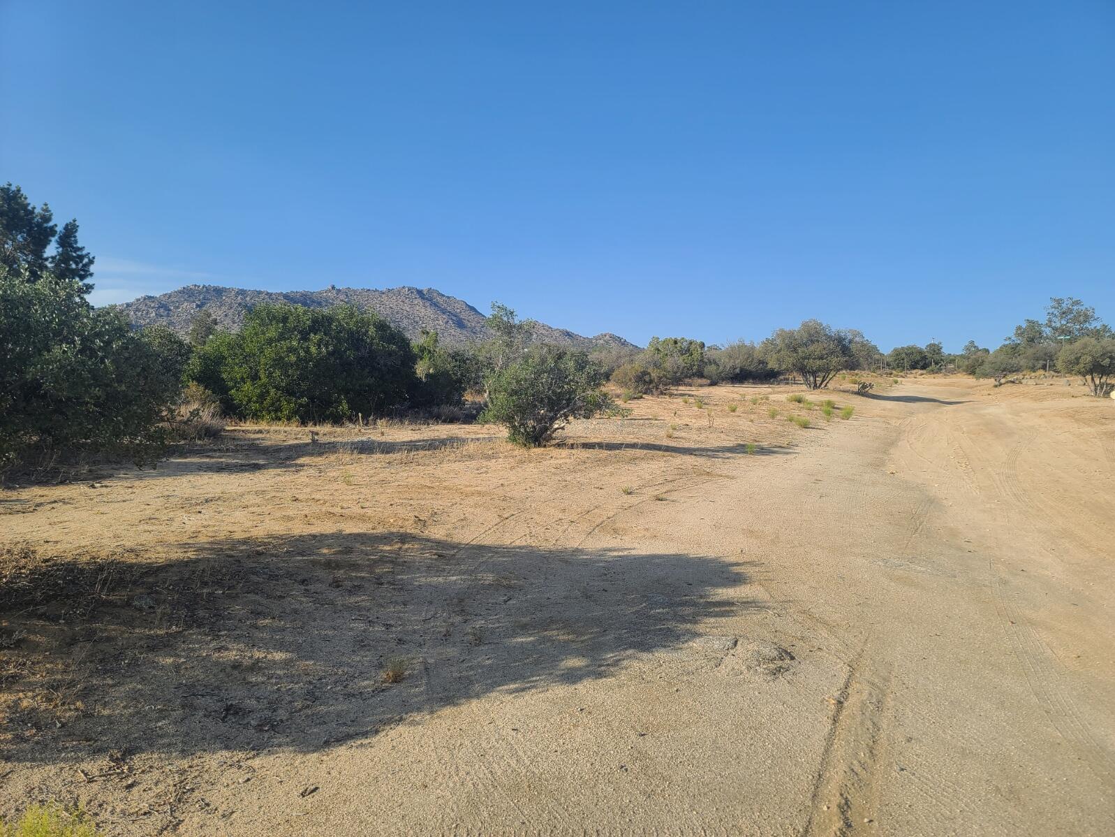 68420 Riesling Way Mountain Center, CA 92561 - Photo 5 of 37 20220610_175611
