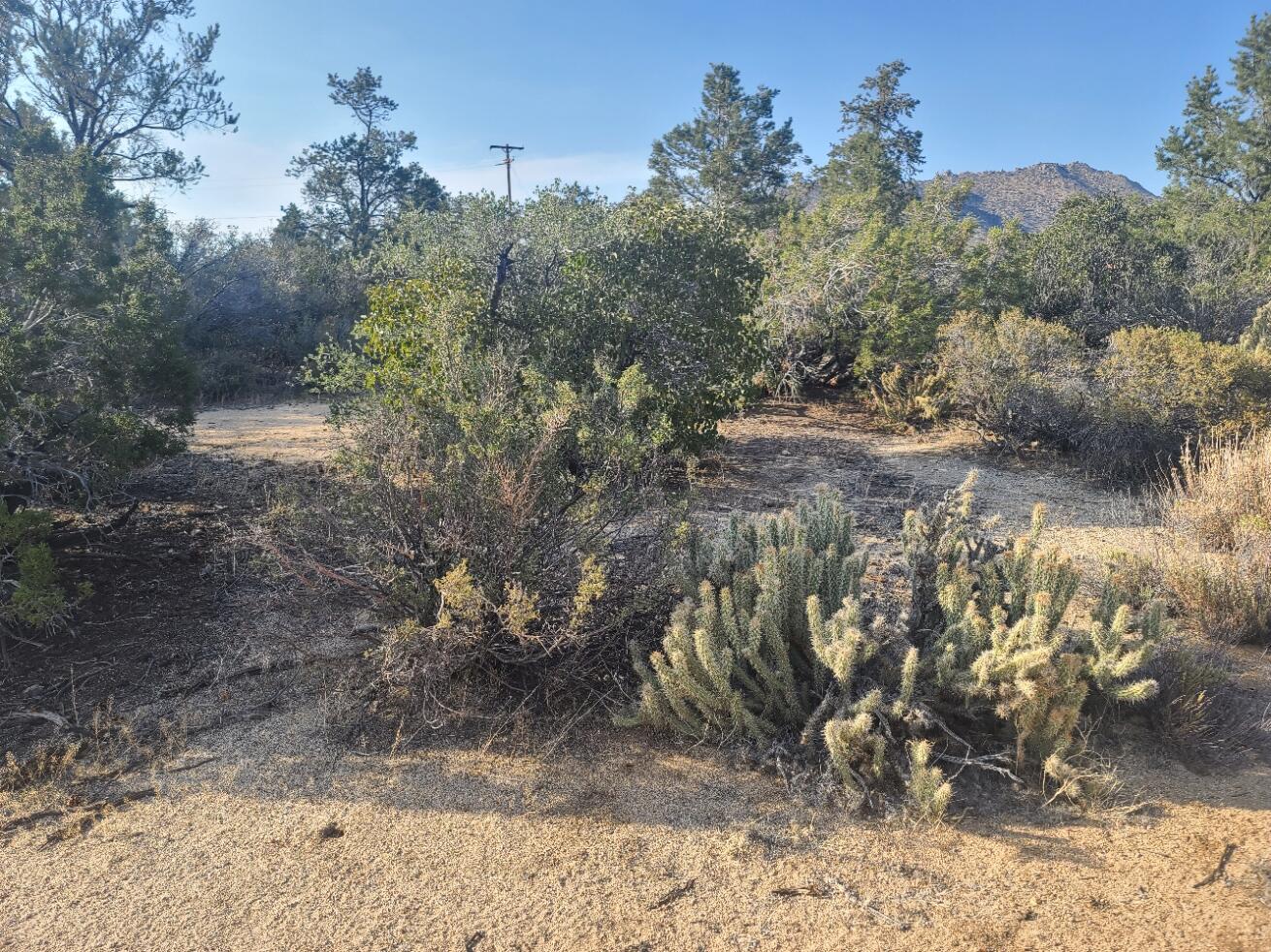 68420 Riesling Way Mountain Center, CA 92561 - Photo 10 of 37 20220610_175713