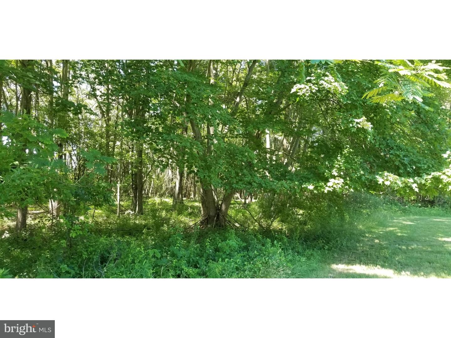 4829 Wismer Road New Hope, PA 18938 - Photo 2 of 14 Gallery Image 2