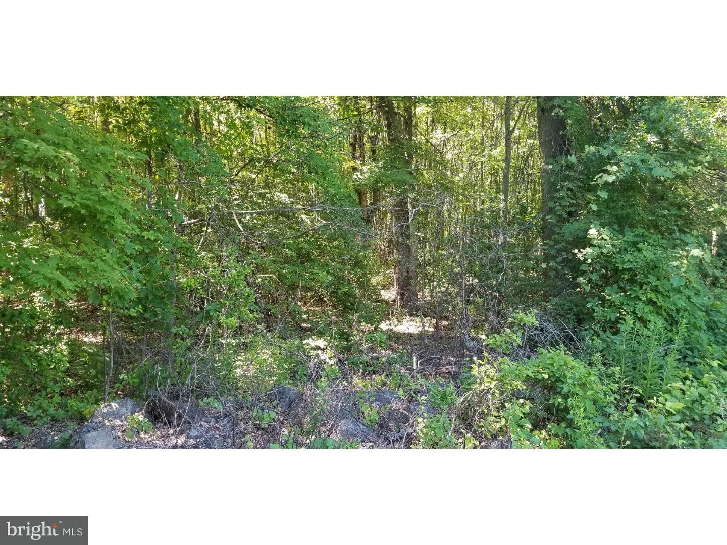 4829 Wismer Road New Hope, PA 18938 - Photo 12 of 14 Gallery Image 12