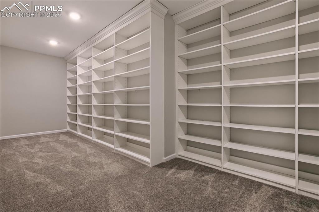 11970 Silver Concho Trail Elbert, CO 80106 - Photo 40 of 44 a view of an empty room with a empty shelves