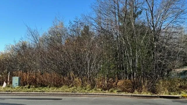 $100,000 | Xxx 1st Avenue, Siren, WI 54872