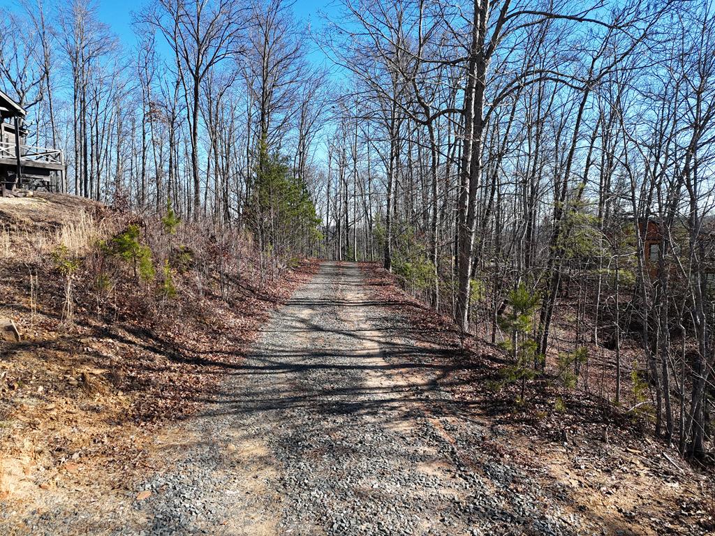 29-28 Left Turn Lane Blue Ridge, GA 30513 - Photo 1 of 53 a view of outdoor space and yard
