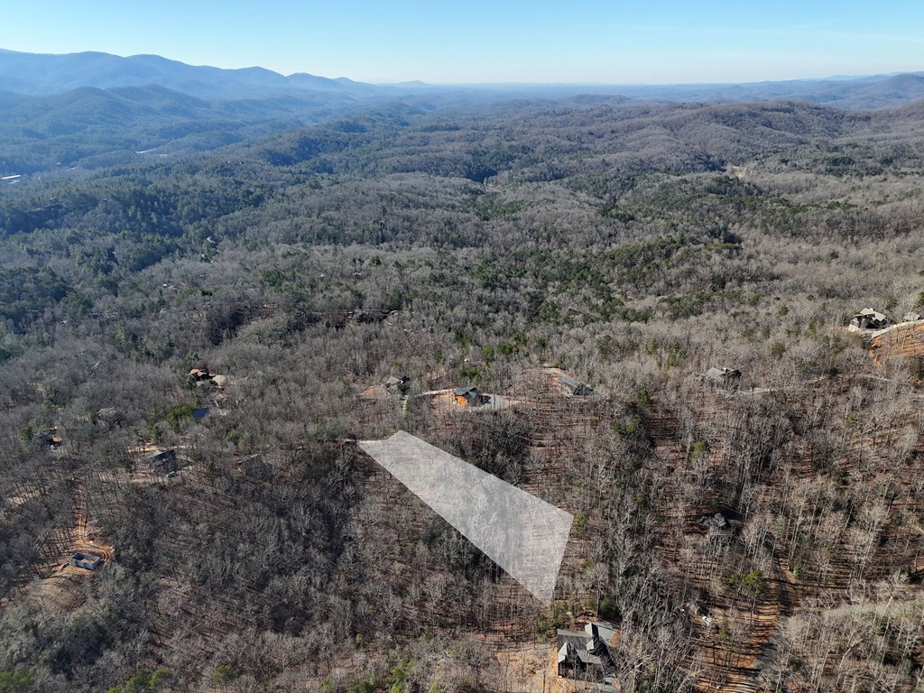 29-28 Left Turn Lane Blue Ridge, GA 30513 - Photo 18 of 53 a view of a dry yard with mountain and trees