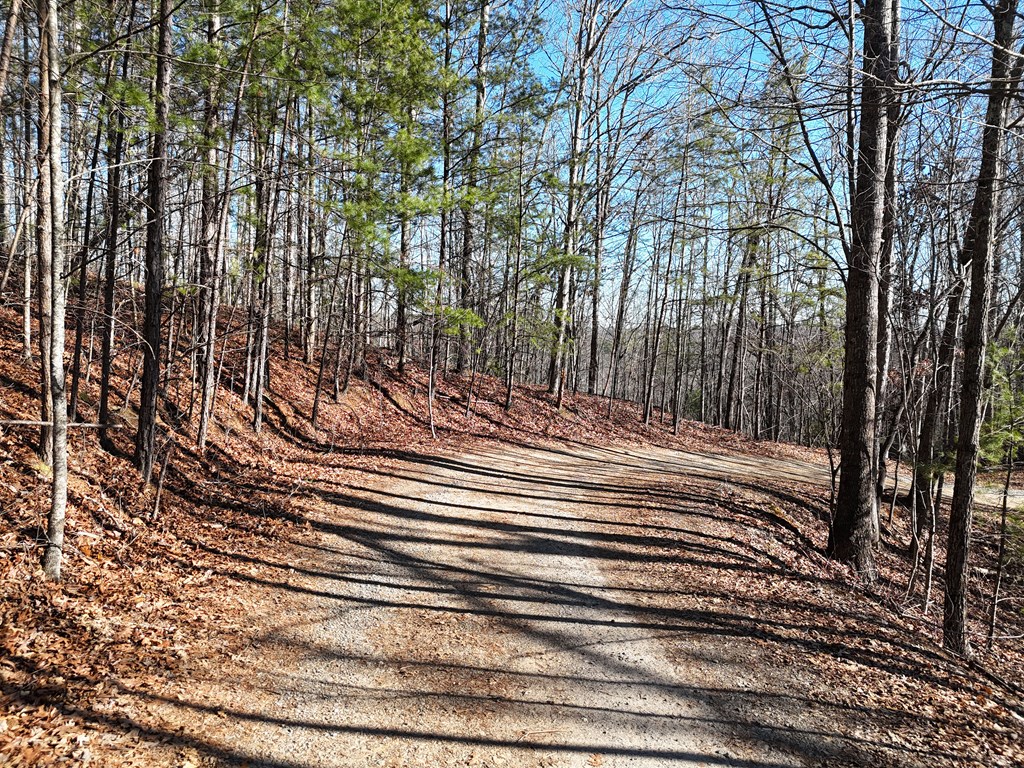 29-28 Left Turn Lane Blue Ridge, GA 30513 - Photo 26 of 53 a view of outdoor space and yard