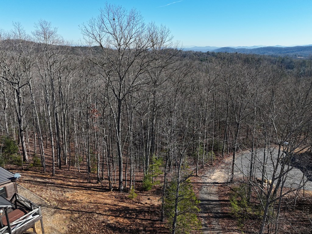 29-28 Left Turn Lane Blue Ridge, GA 30513 - Photo 46 of 53 a view of a forest with a tree