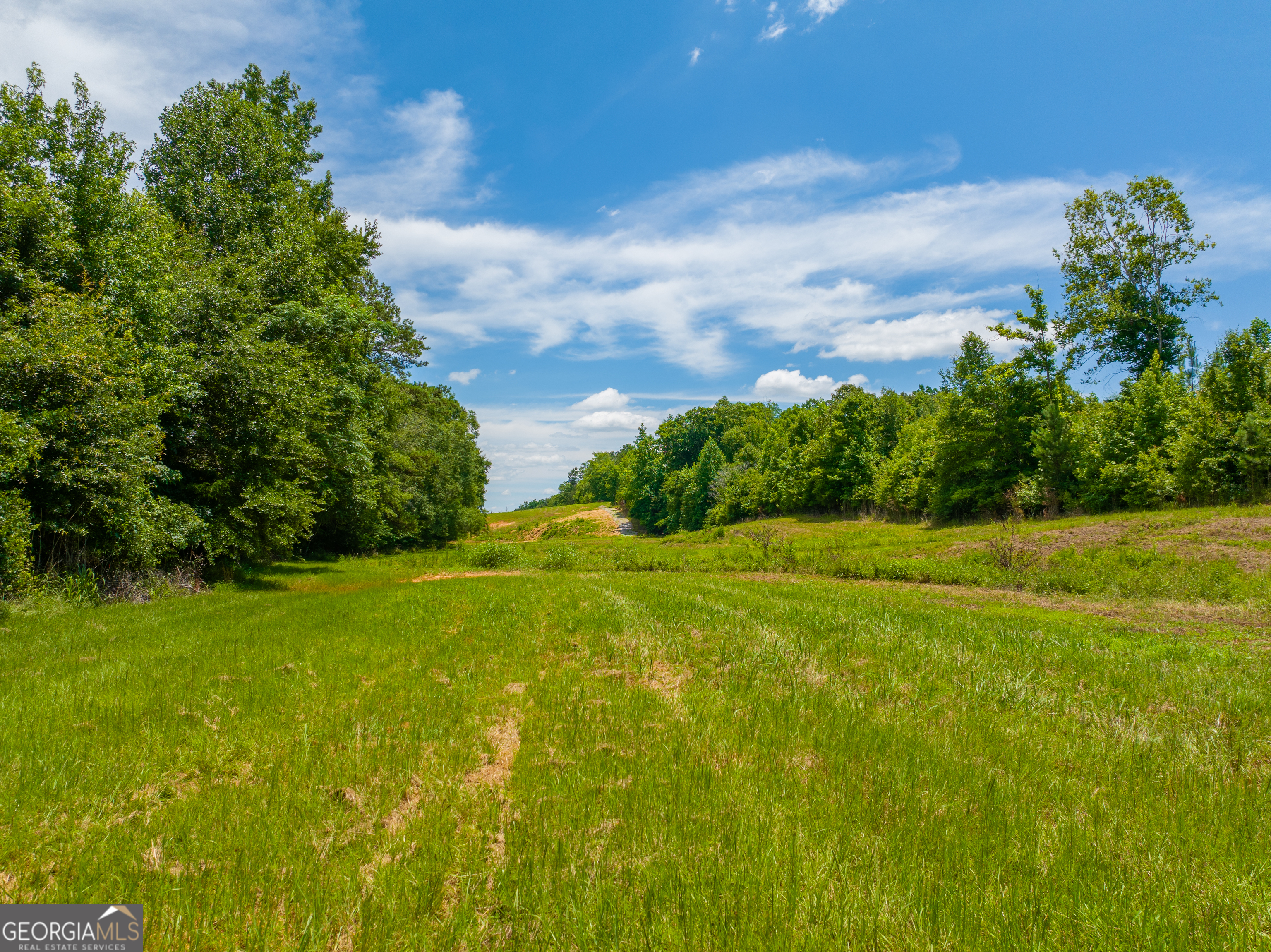 21.4-acres Cochran Road Madison, GA 30650 - Photo 5 of 12