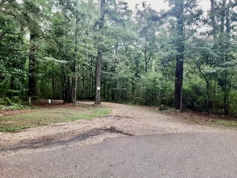 33575 Hills Road Holden, LA 70744 - Photo 2 of 5 Gallery Image 2