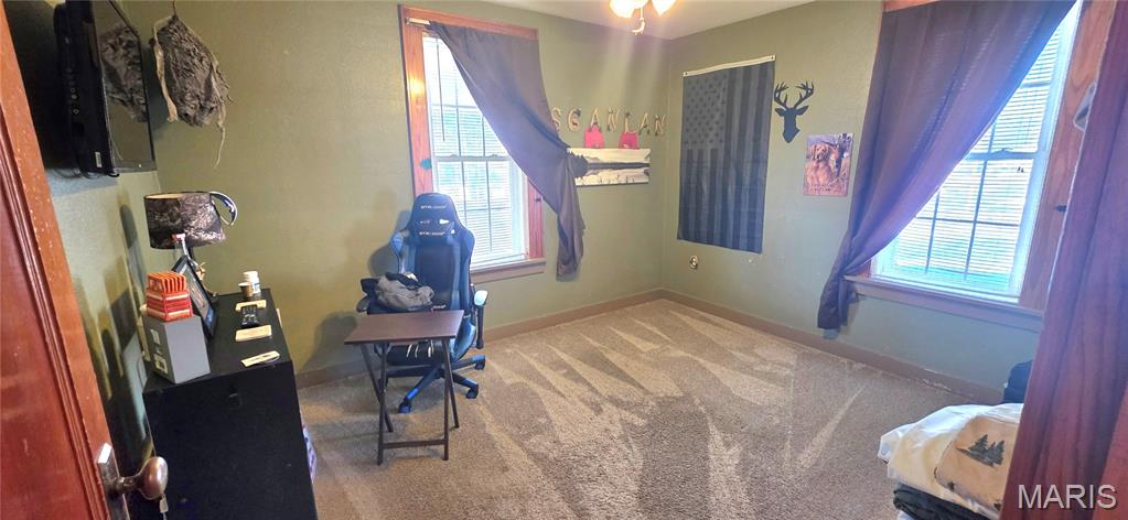 1506 Oak Street Chester, IL 62233 - Photo 10 of 43