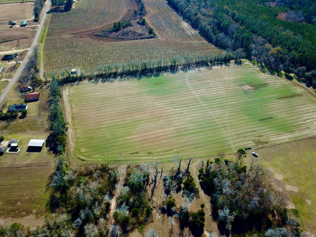 12.7-acres Nobles Road Dothan, AL 36301 - Photo 13 of 41