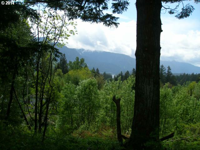 7382 East Loop Road Stevenson, WA 98648 - Photo 1 of 5 a view of a yard and an trees