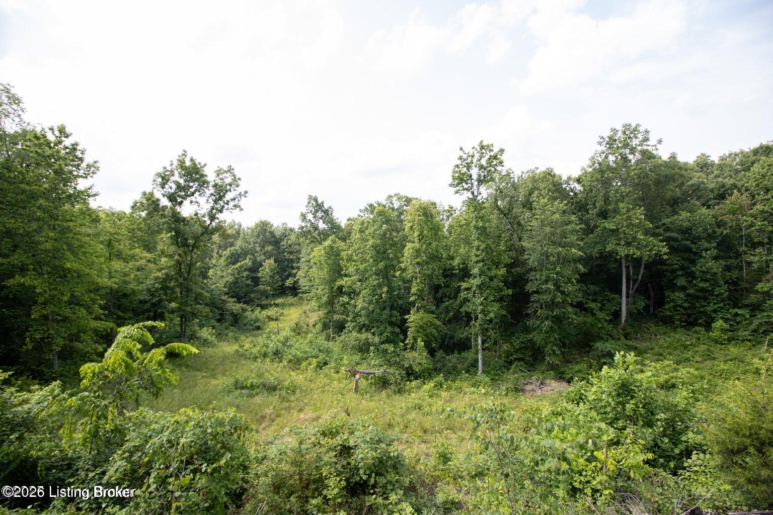 0 Summit-Eastview Road Eastview, KY 42732 - Photo 12 of 17 14
