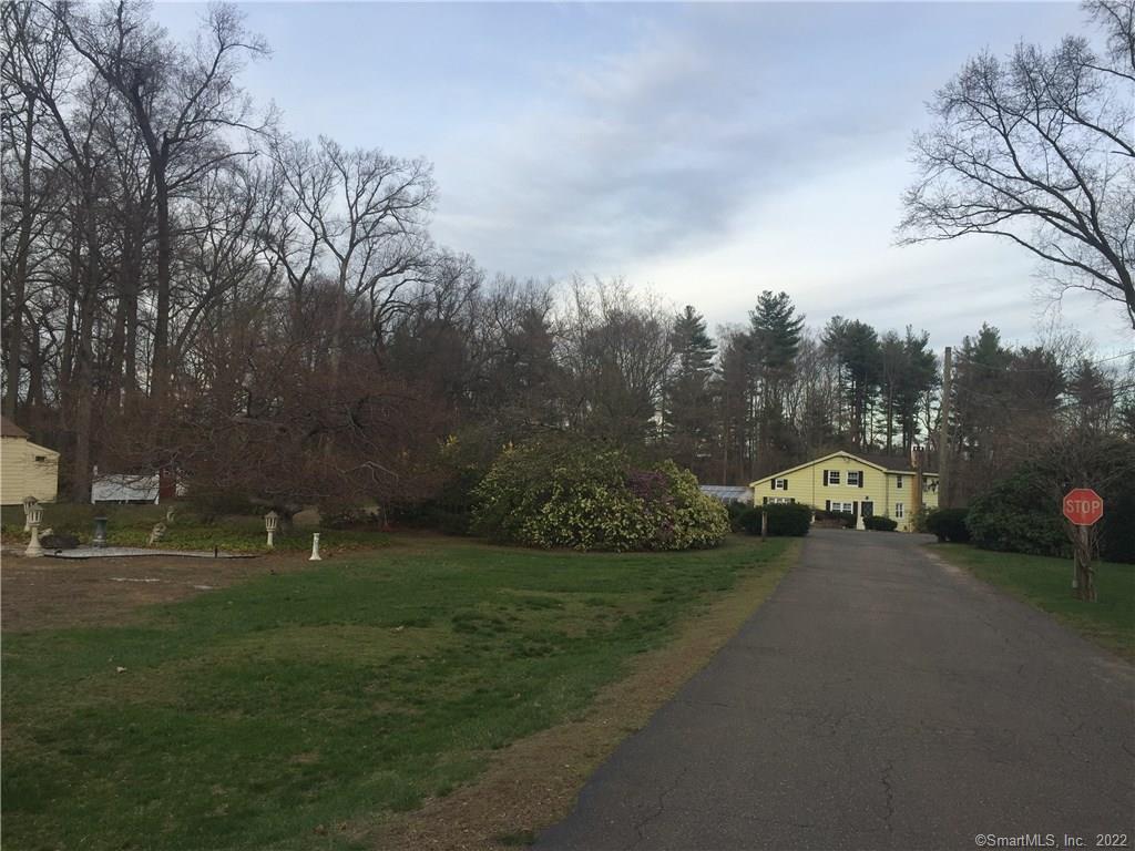 a view of a park with large trees