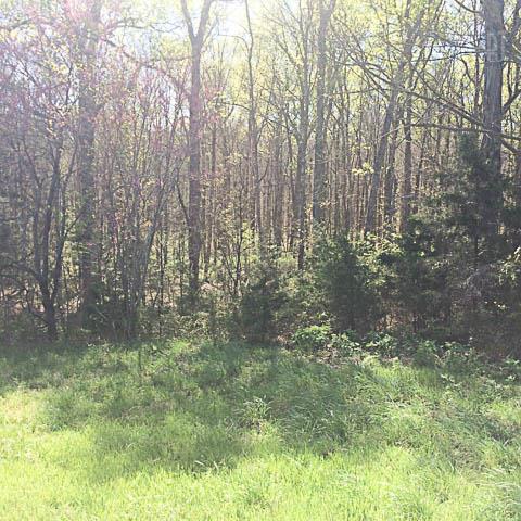0 Shores Road, Unit 3 Murfreesboro, TN 37128 - Photo 2 of 3 Gallery Image 2