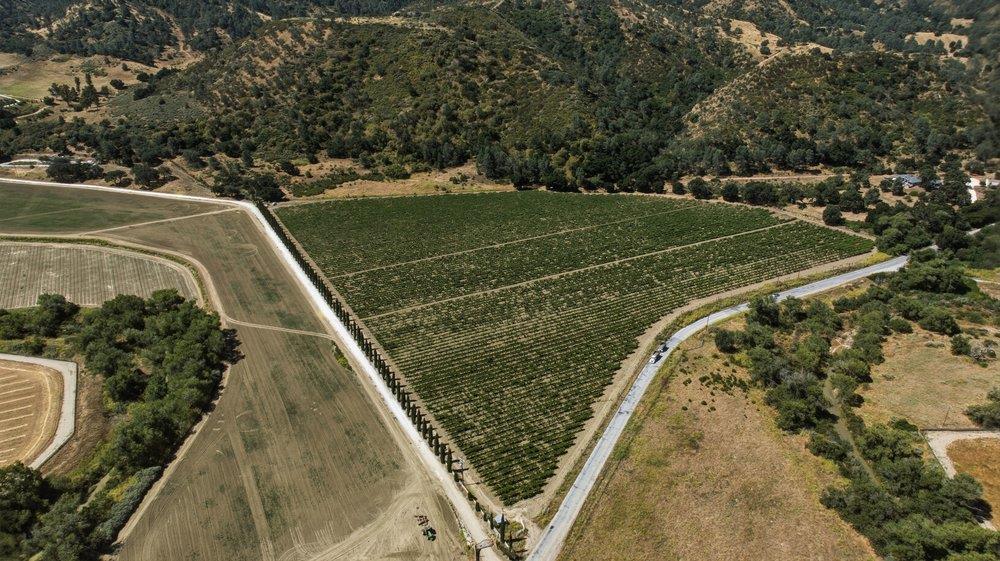 24.5-acres Cienega Road Paicines, CA 95043 - Photo 7 of 38