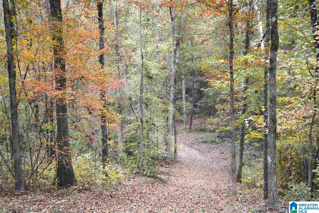 0 Jackson Loop Road, Unit 1 Ragland, AL 35131 - Photo 16 of 27