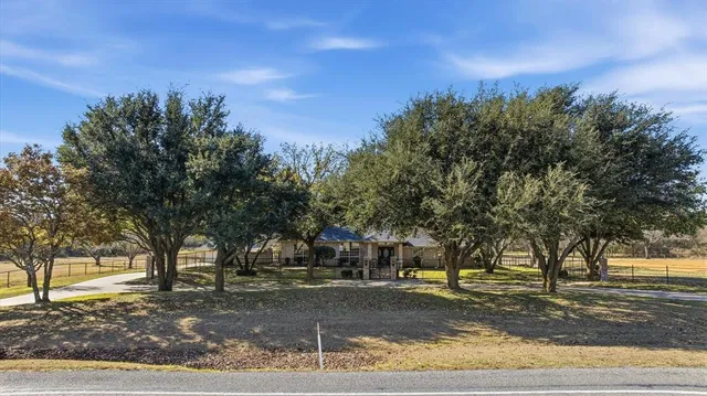 a street view with large trees