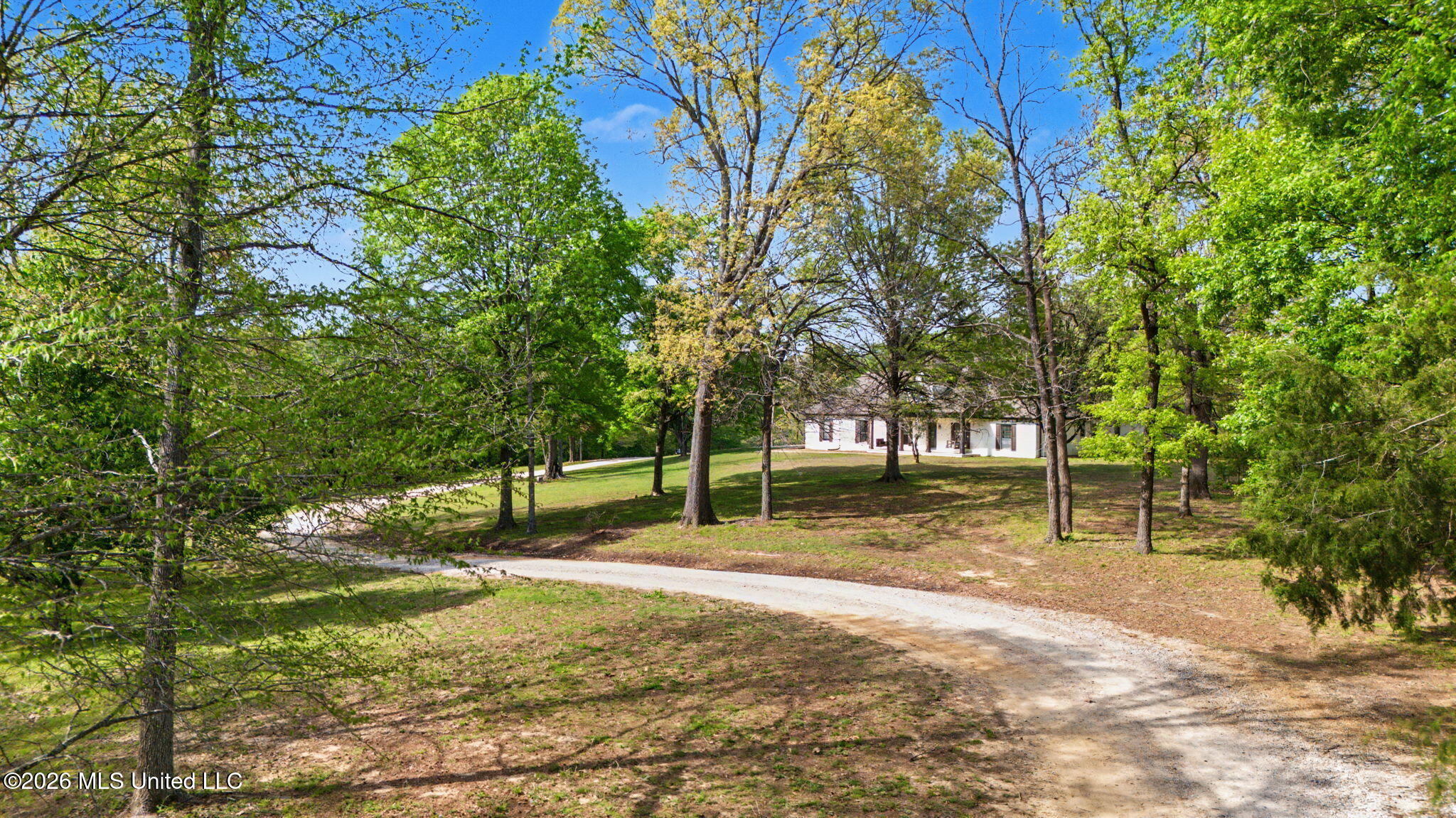 13960 Fairview Road Byhalia, MS 38611 - Photo 4 of 34 Winding Driveway