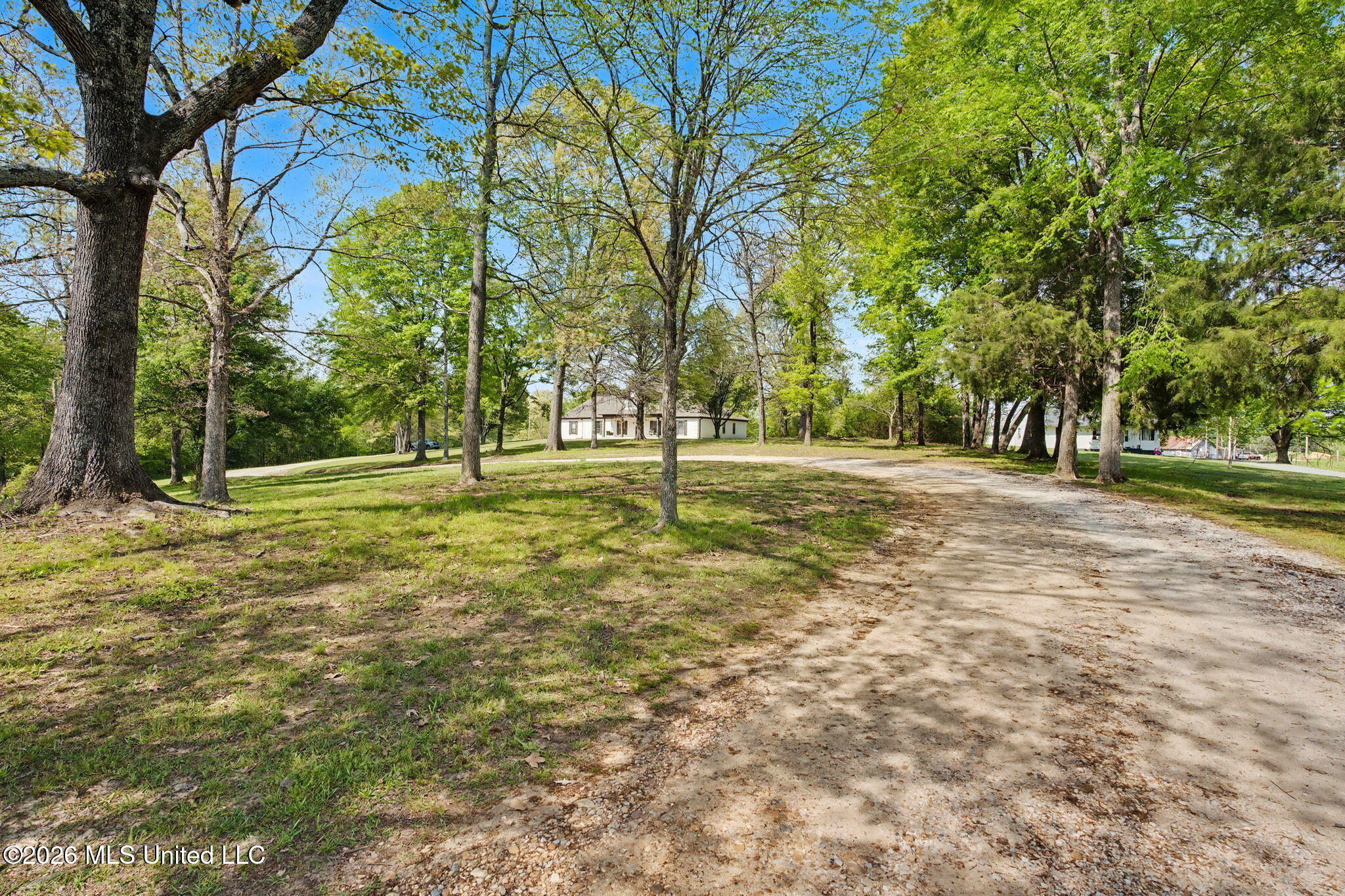 13960 Fairview Road Byhalia, MS 38611 - Photo 7 of 34 Beautiful Front Drivew
