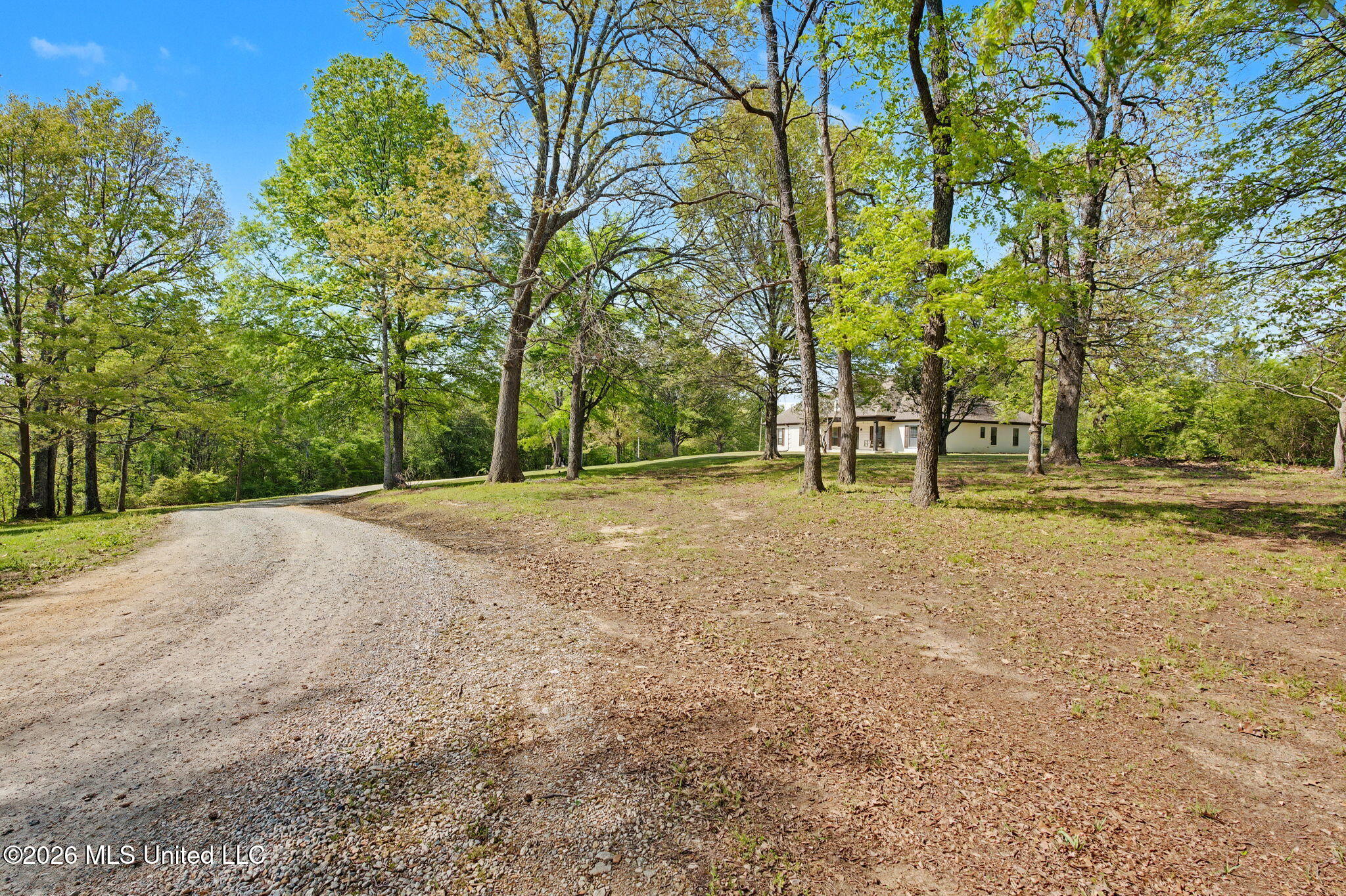 13960 Fairview Road Byhalia, MS 38611 - Photo 8 of 34 Leading up to the home site