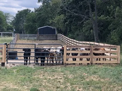 a view of a wooden fence