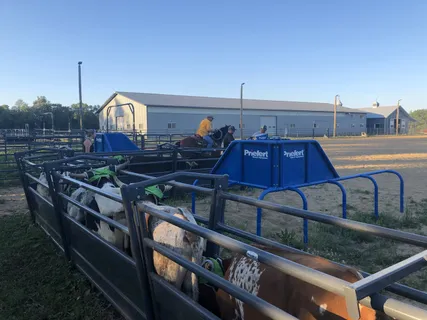 a bathroom with a granite countertop sink and vanity