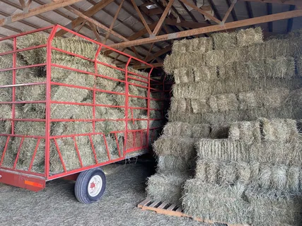 a view of entryway door of the house