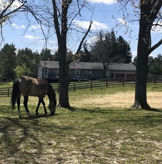 a stove top oven sitting inside of a kitchen and granite counter tops