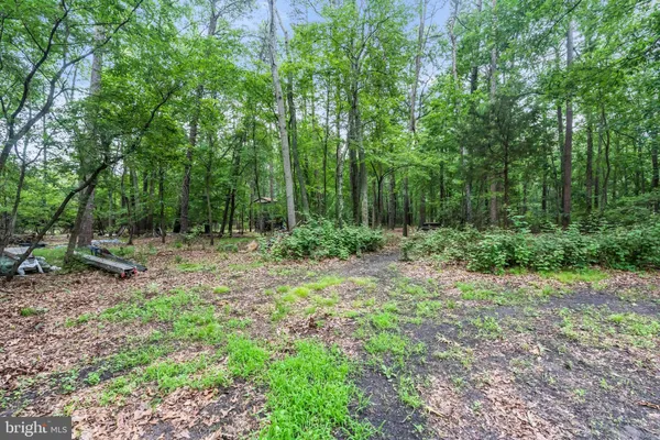 a view of a park with large trees