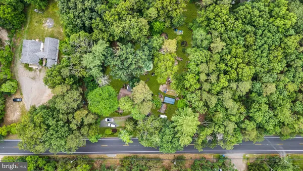 a view of a house with a small yard plants and large trees