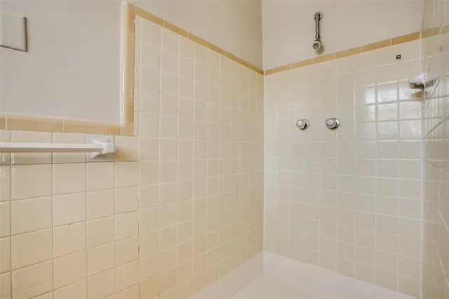 a view of a trees and tree in front of it