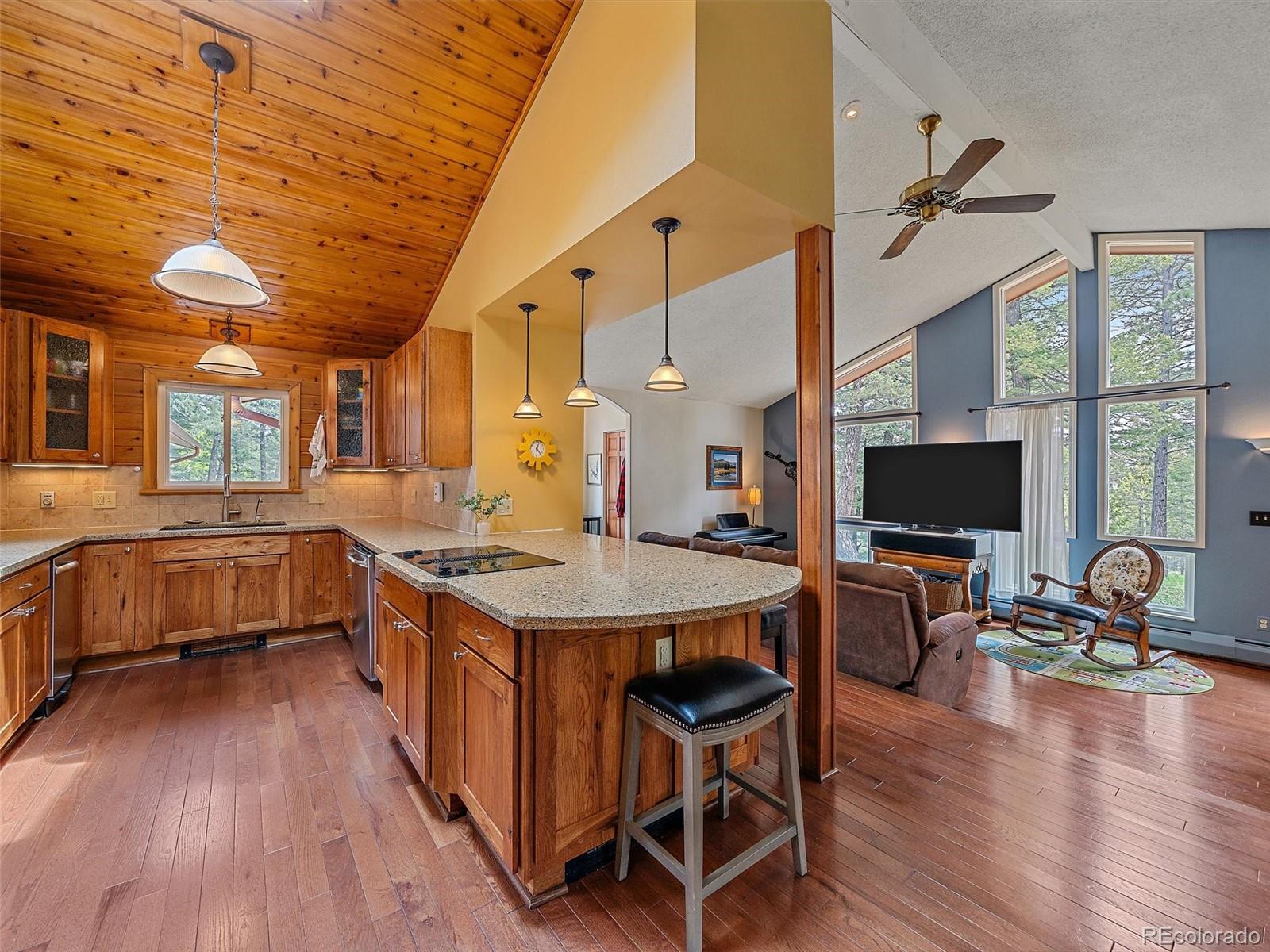 7585 Native Dancer Trail Evergreen, CO 80439 - Photo 13 of 41