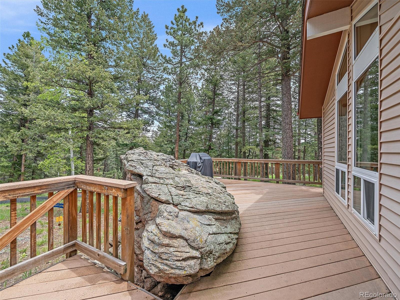 7585 Native Dancer Trail Evergreen, CO 80439 - Photo 18 of 41