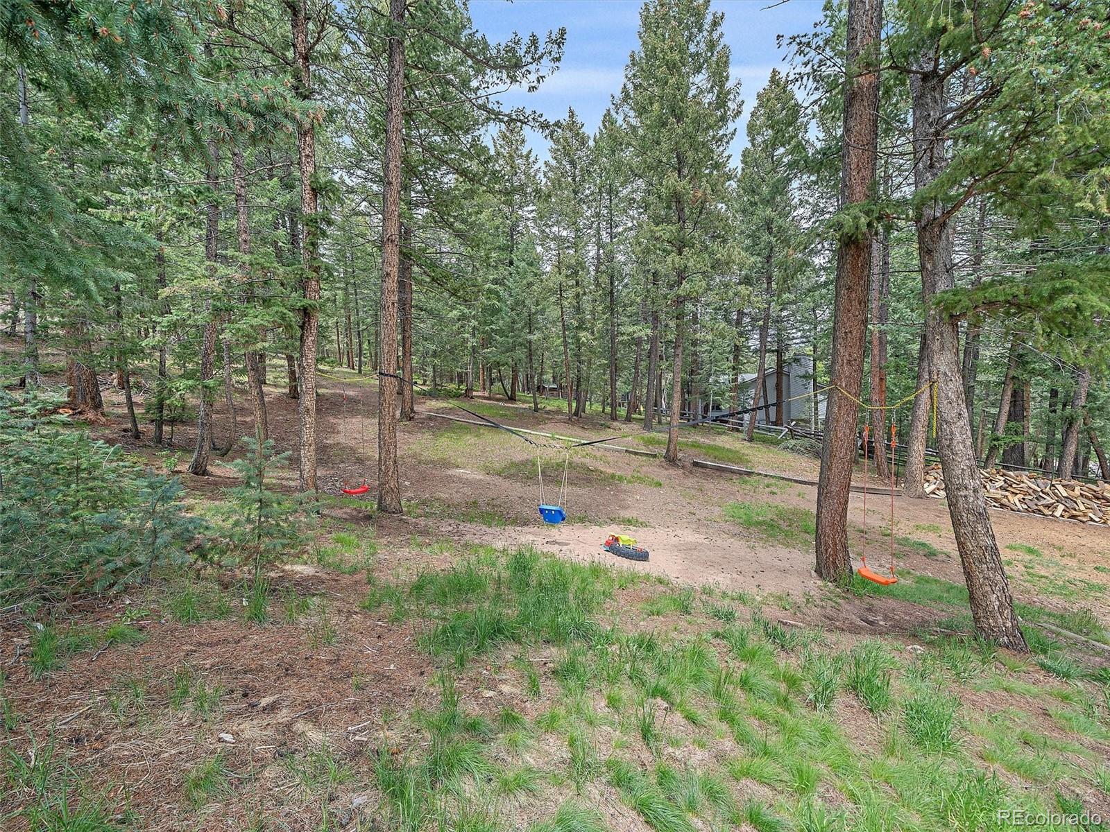 7585 Native Dancer Trail Evergreen, CO 80439 - Photo 22 of 41