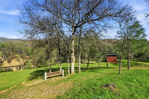 a view of a yard with a tree