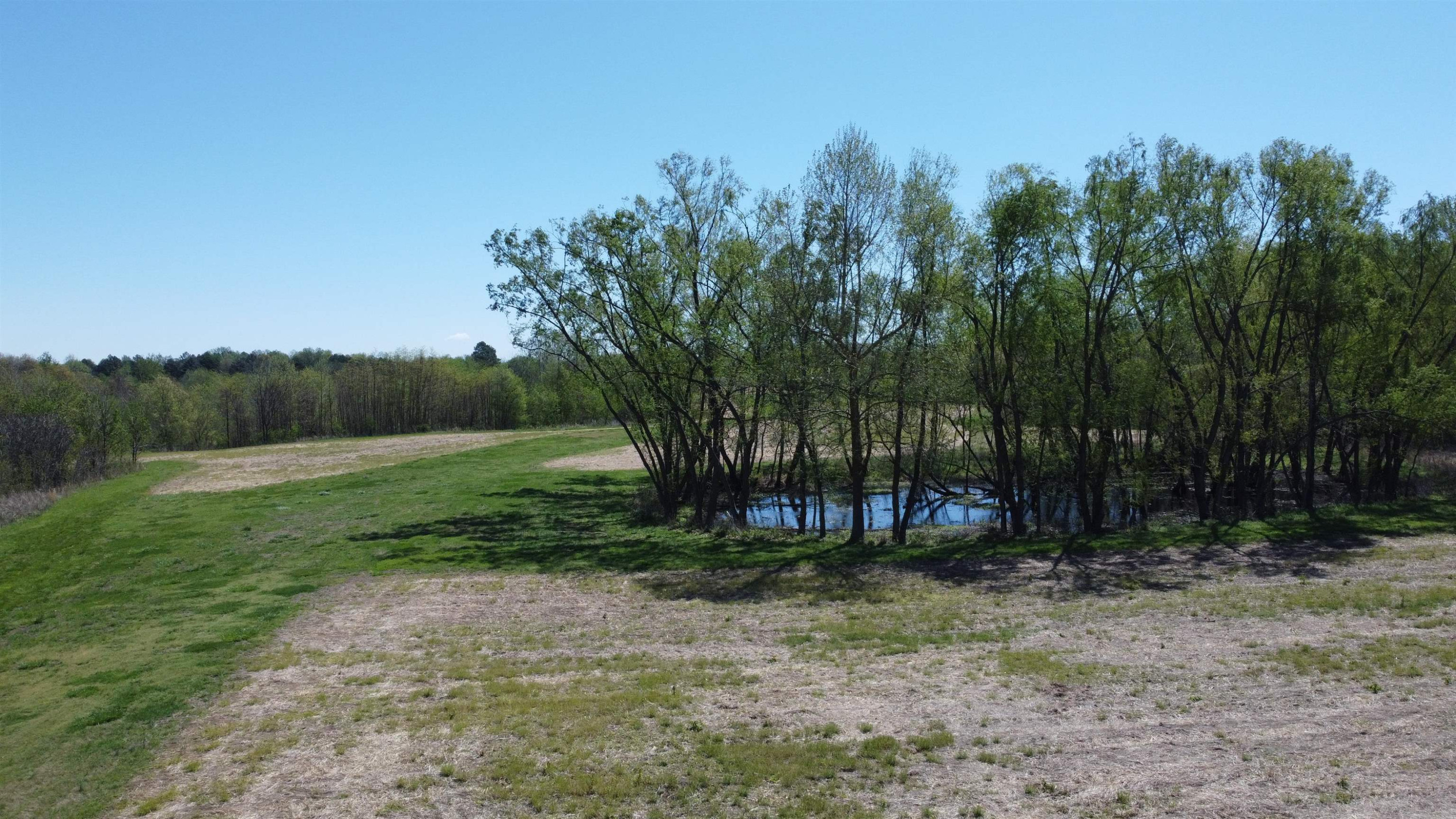 5334 Ira Barker Road Obion, TN 38240 - Photo 55 of 68 a view of backyard with green space