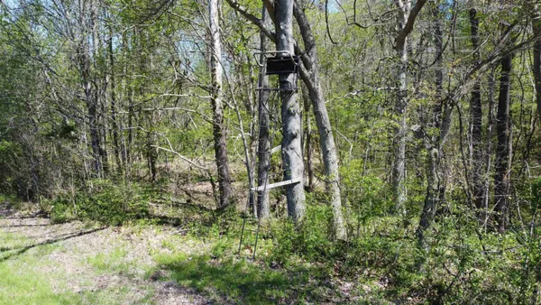 $2,750,000 | 5334 Ira Barker Road, Hornbeak, TN 38232