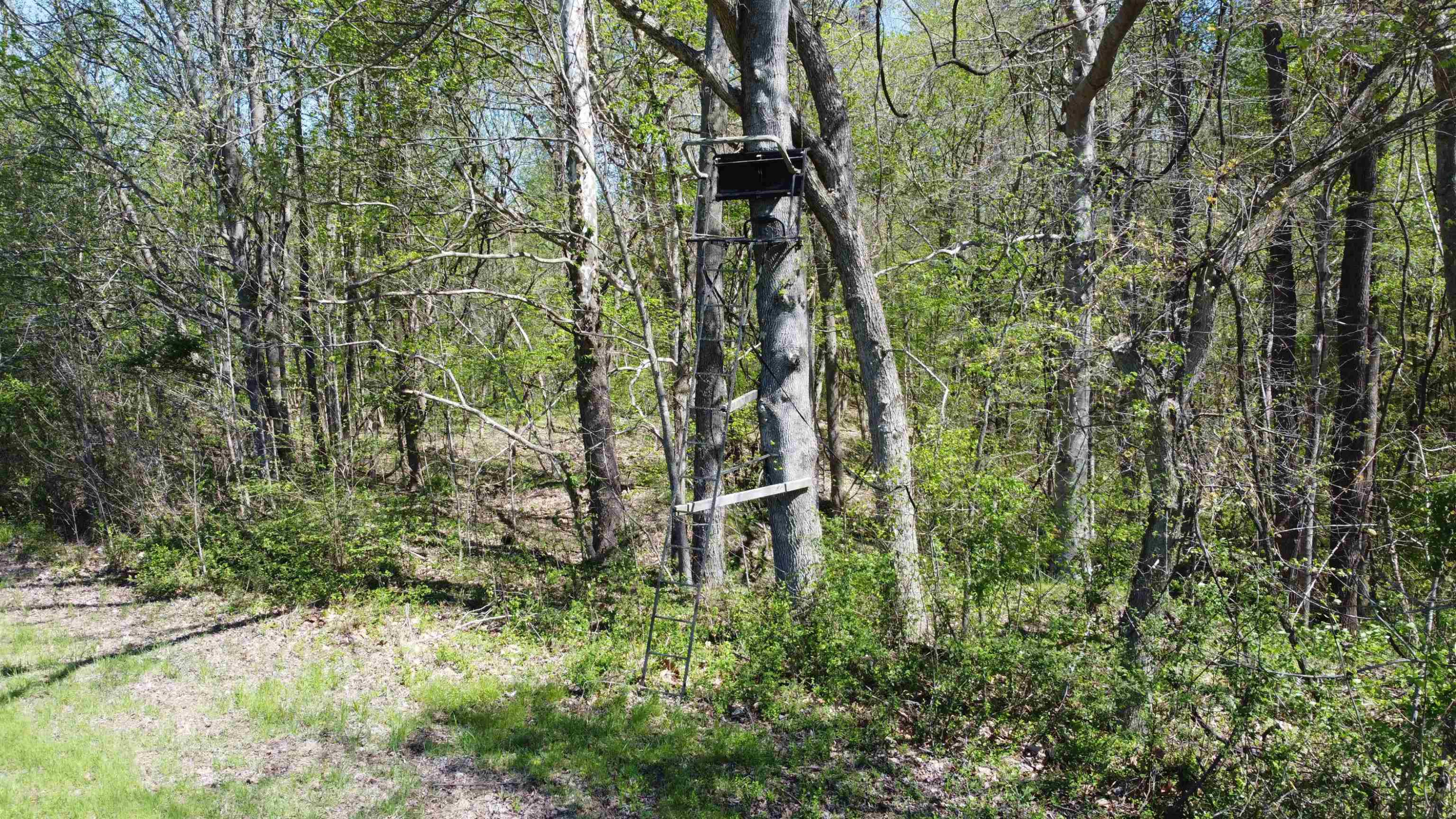 5334 Ira Barker Road Obion, TN 38240 - Photo 56 of 68 Photo 46